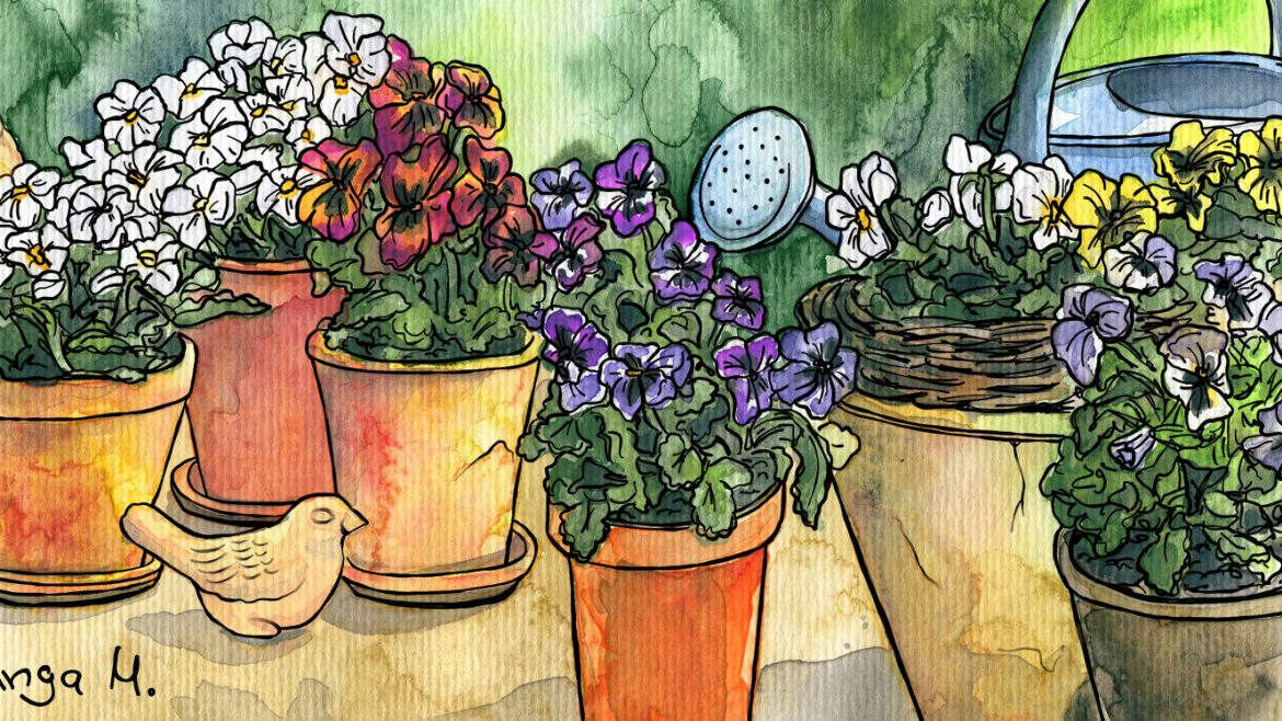 Illustration - Februar - Garten - 2020 - Franks kleiner Garten
