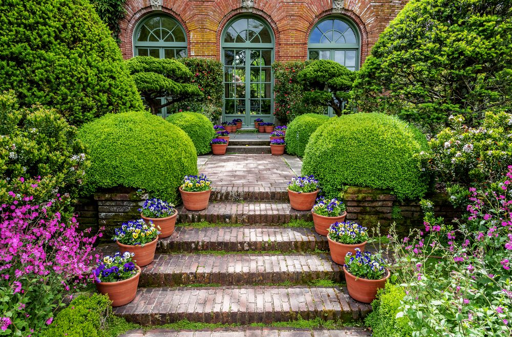 Hecke - Sichtschutz - Treppe - Buchs - Buxus - Franks kleiner Garten