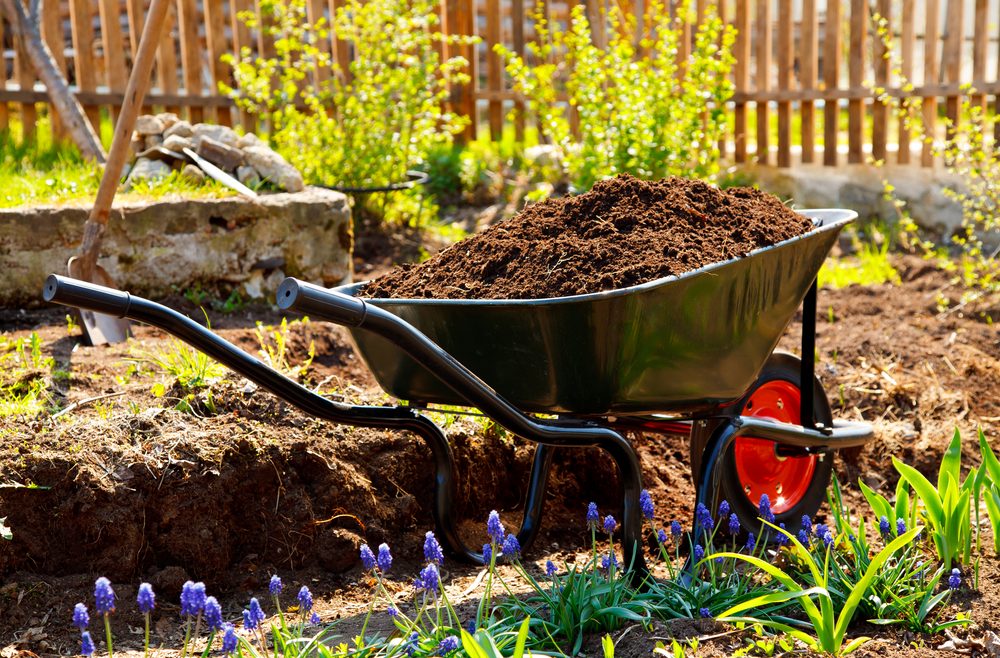 Wasser - Boden - garten - Kompost - Franks kleiner Garten