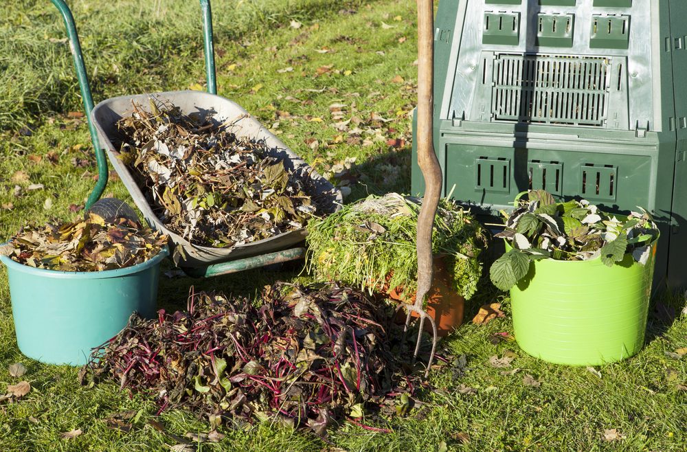 Herbstlaub - Kompost - Herbst - Laub - Oktober - Franks kleiner Garten