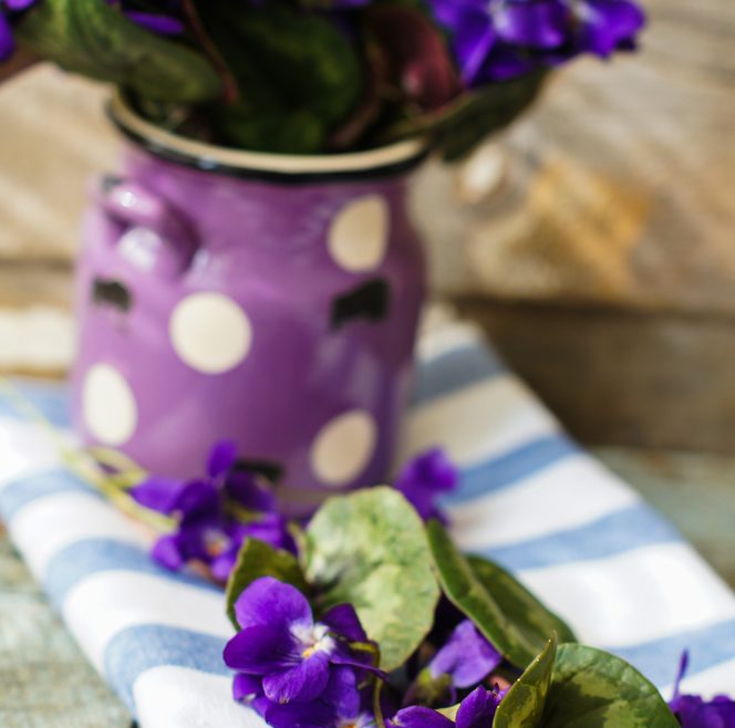 Hornveilchen - Tischdecke - Frühling - Vase - Franks kleiner Garten