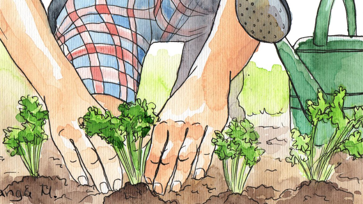 Mai - Illustration - franksleinergarten.de
