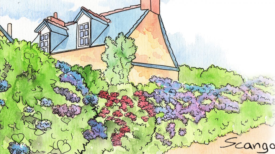 Juni - Illustration - Franks kleiner Garten