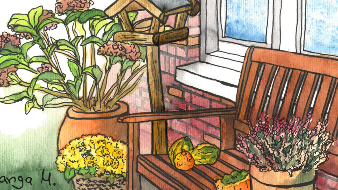 November - Illustration - Franks kleiner Garten