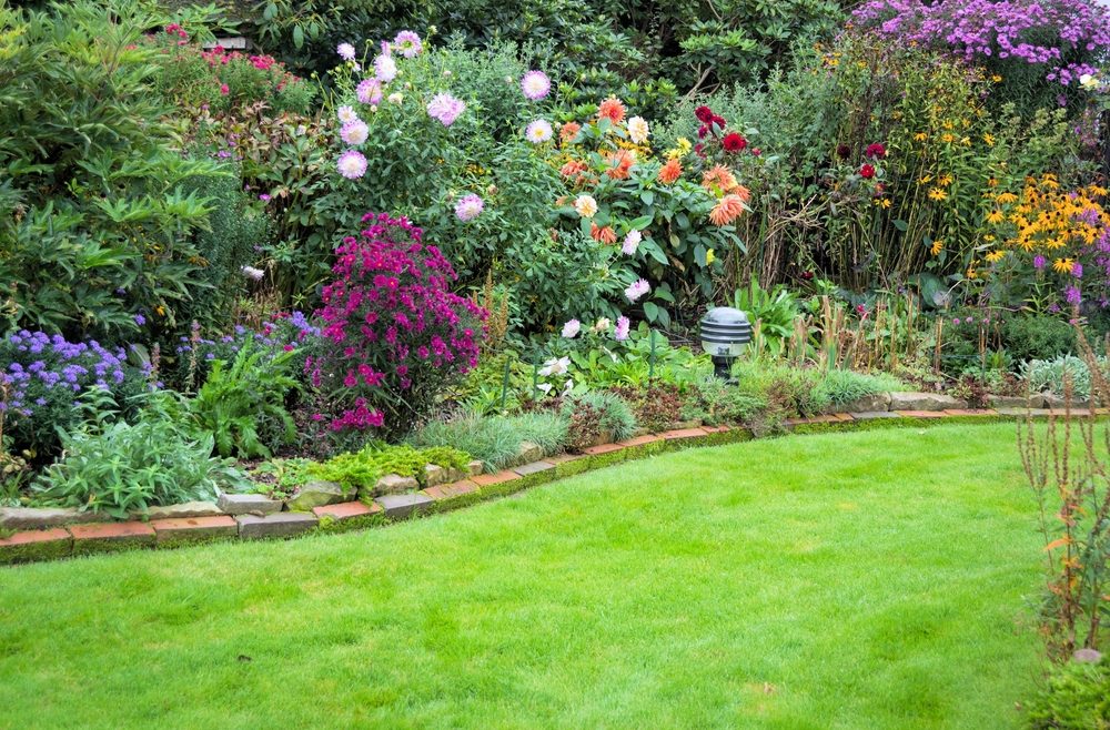November - Rasen - Franks kleiner Garten