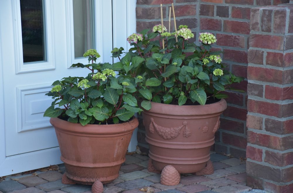 Dezember - Dinge - Töpfe - Franks kleiner Garten