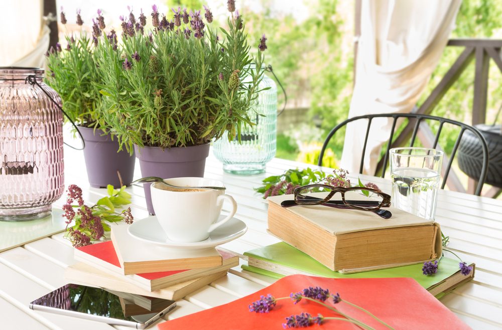 Lavendel - Tisch - Franks kleiner Garten