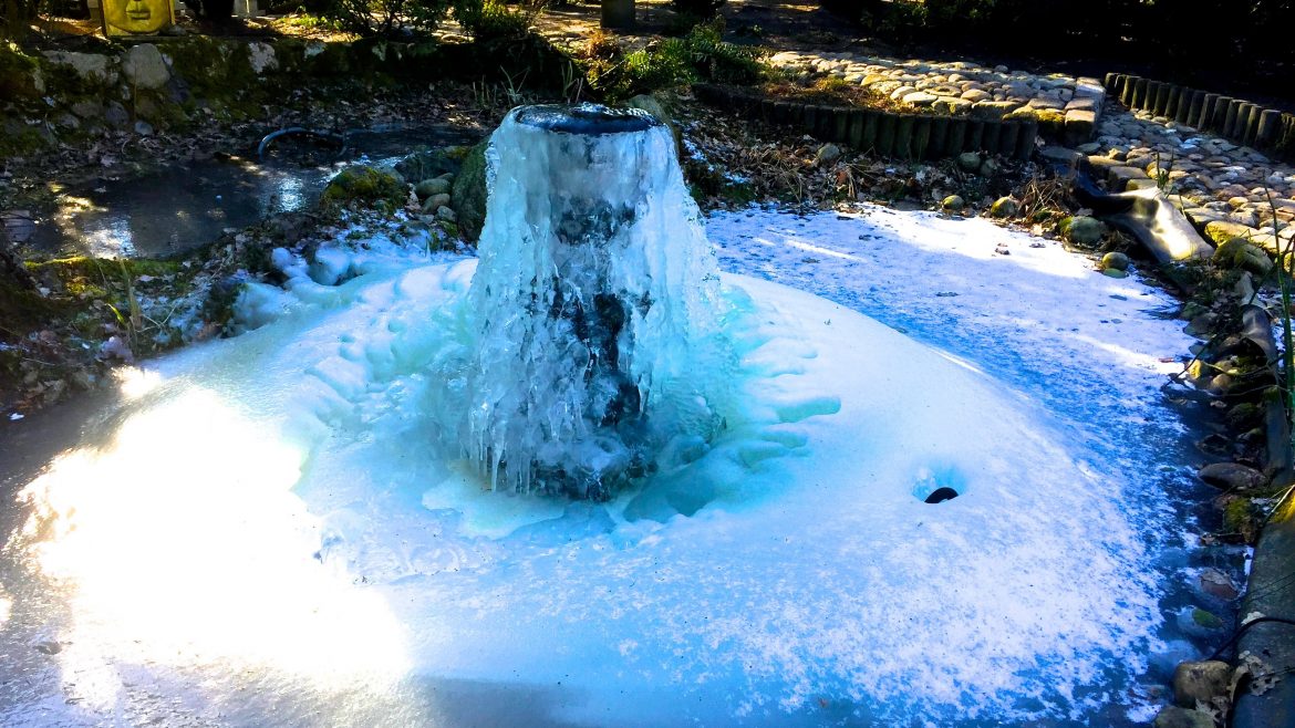 März - Brunnen - Vögel - Franks kleiner Garten