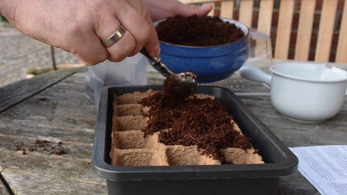 Produkttest - Romberg - Anzucht - Anzuchterde - Frank - Franks kleiner Garten