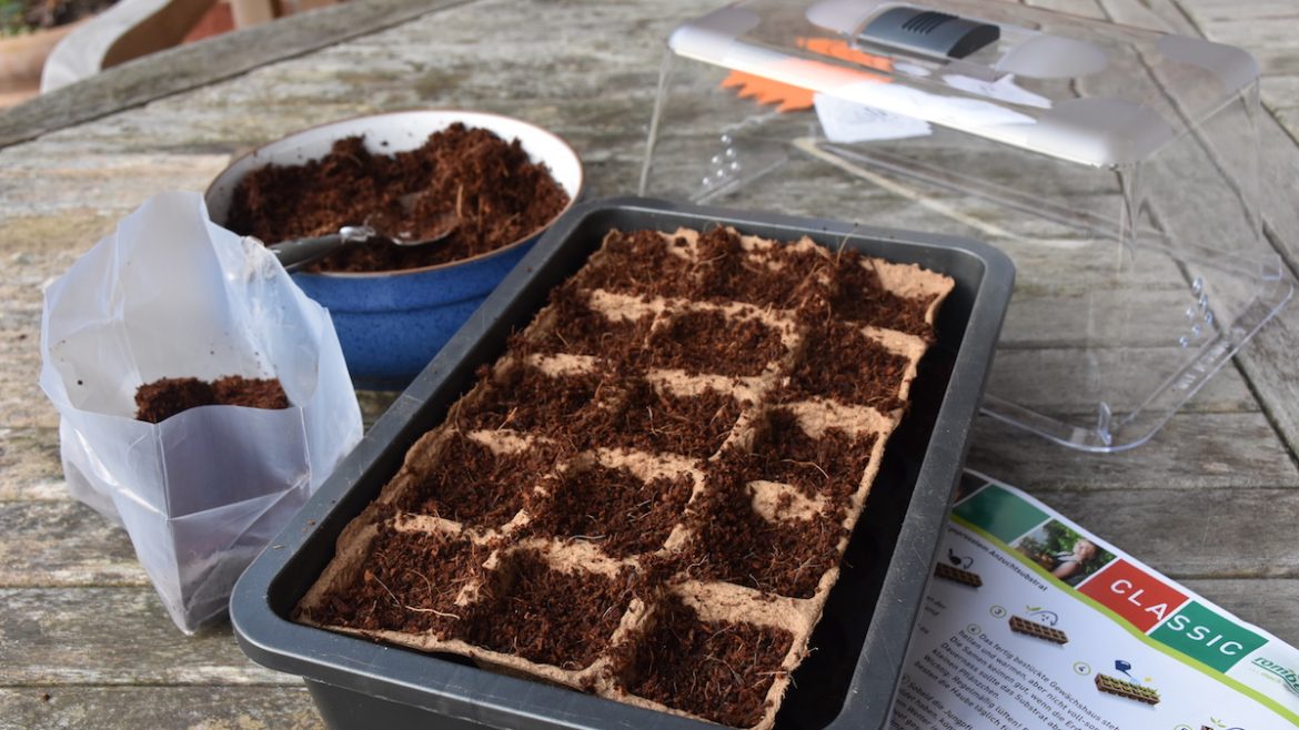 Produkttest - Romberg - Anzucht - Anzuchtschale 2 - Frank - Franks kleiner Garten