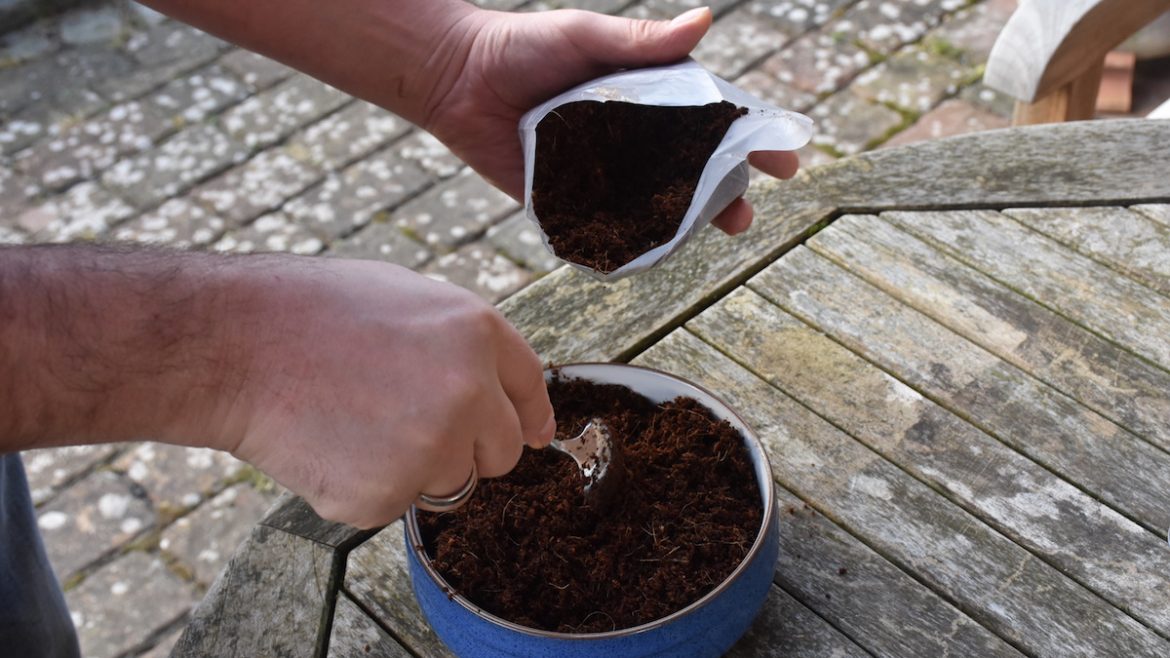 Produkttest - Romberg - Anzucht - Erde - Franks kleiner Garten
