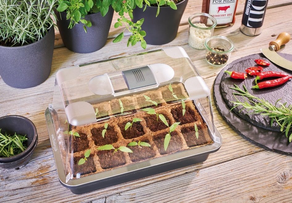 Produkttest - Romberg - Mini-Gewächshaus - Franks kleiner Garten