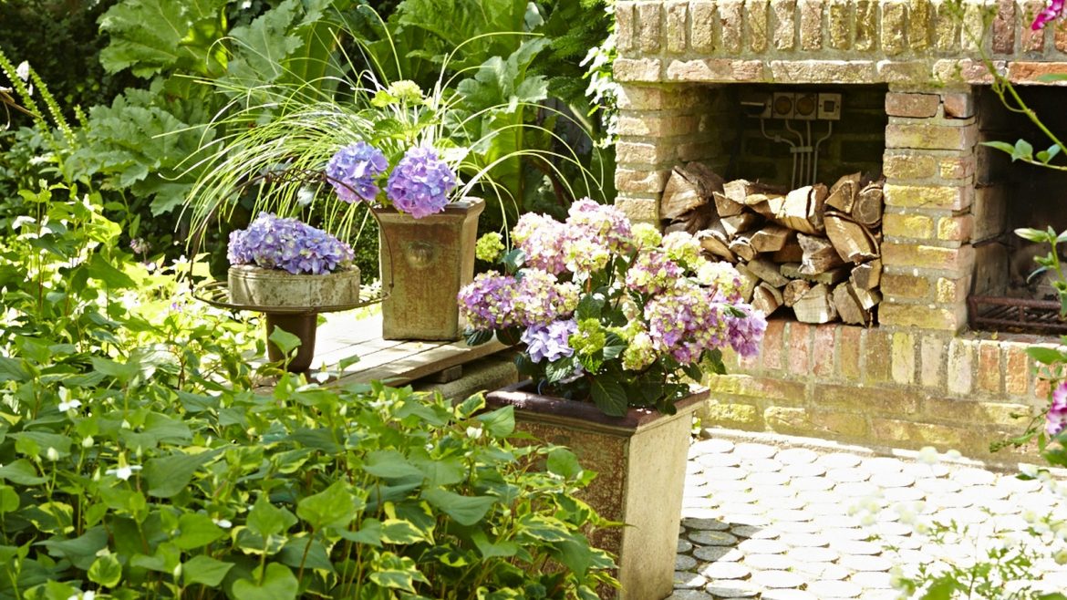 Hortensien schneiden - Endless Summer - Kamin - Franks kleiner Garten