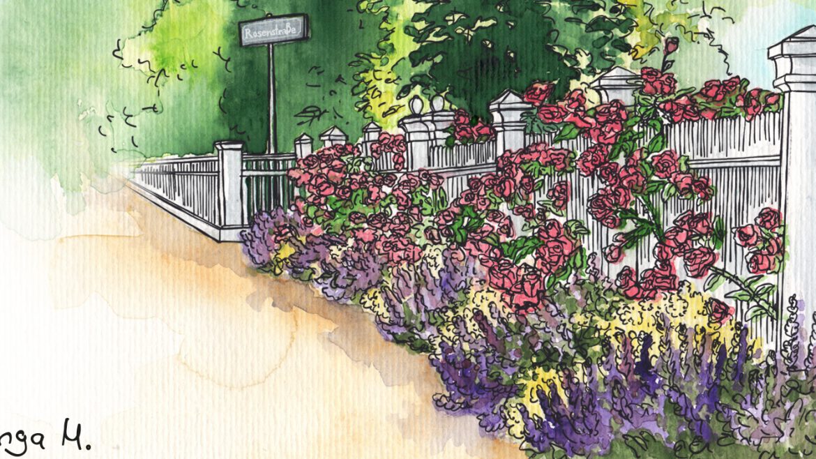 Mai- Illustration - Rosen - Franks kleiner Garten