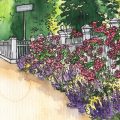 Mai- Illustration - Rosen - Franks kleiner Garten