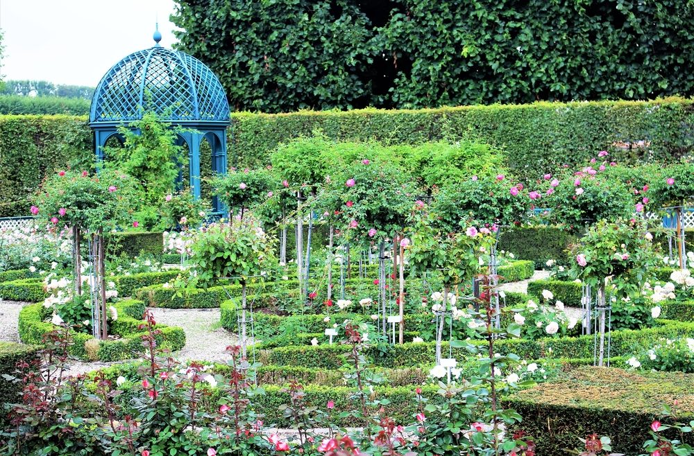 Mai - Termine - Herrenhausen - Franks kleiner Garten