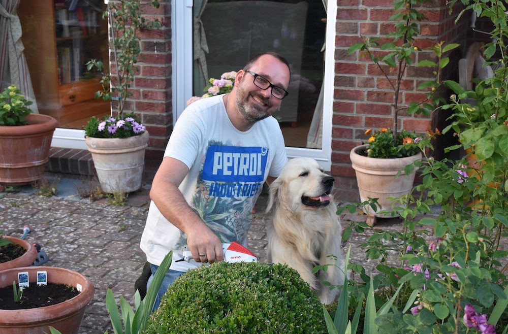 Buchsbaum - Beet - Buchsbaumpflege - Bruno - Terrasse - Franks kleiner Garten