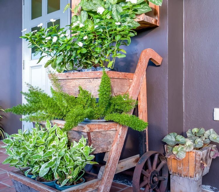 Vertikal Garden - Leiter - shutterstock - Naphat_Jorjee - Franks kleiner garten