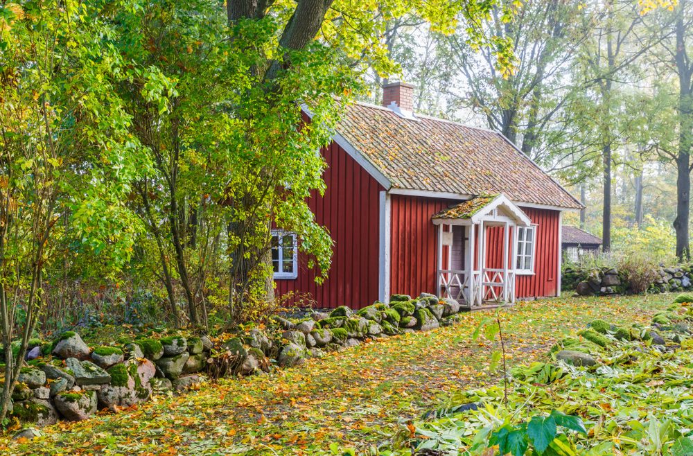 Herbstputz – Laub - Gartenhaus - Cottage - Franks kleiner Garden