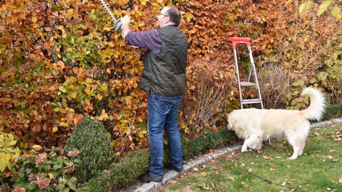 Ultralight Heckenschere FHS 1545  von IKRA - Hecke - Bruno - Franks kleiner Garten