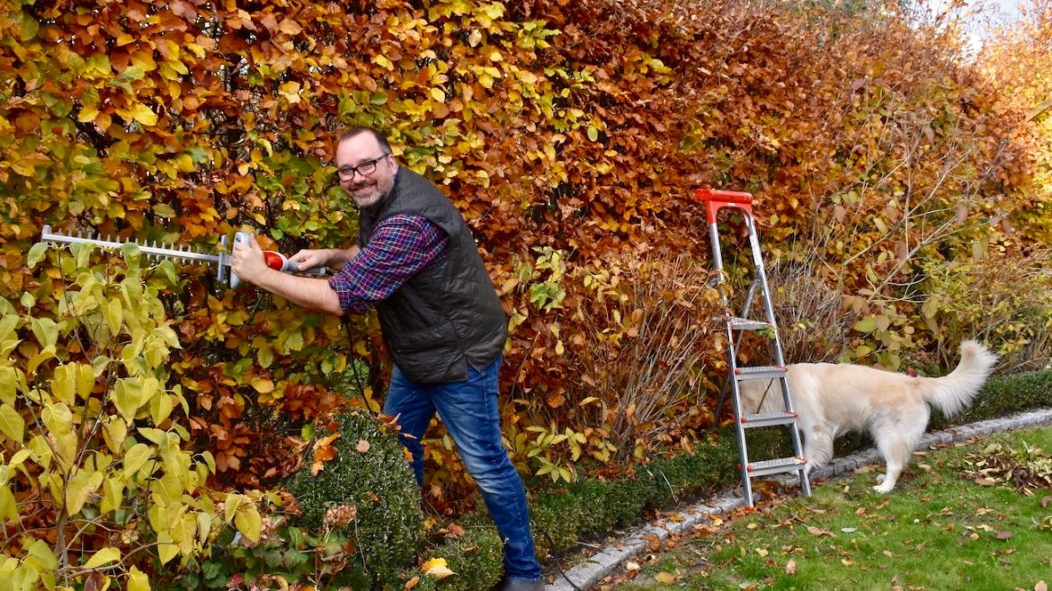 Ultralight Heckenschere FHS 1545  von IKRA - Hecke - Bruno - Franks kleiner Garten