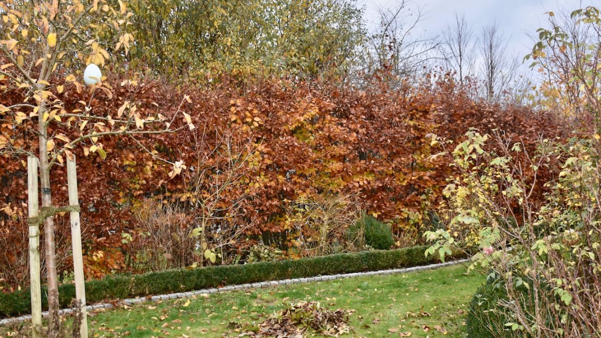 IKRA - Häcksler - Hecke - Franks kleiner Garten