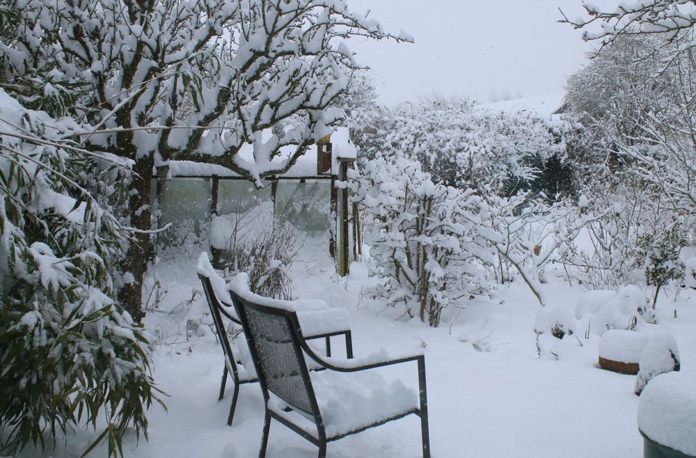 Gewächshaus - Winter - Schnee - Hoklartherm - Franks kleiner Garten