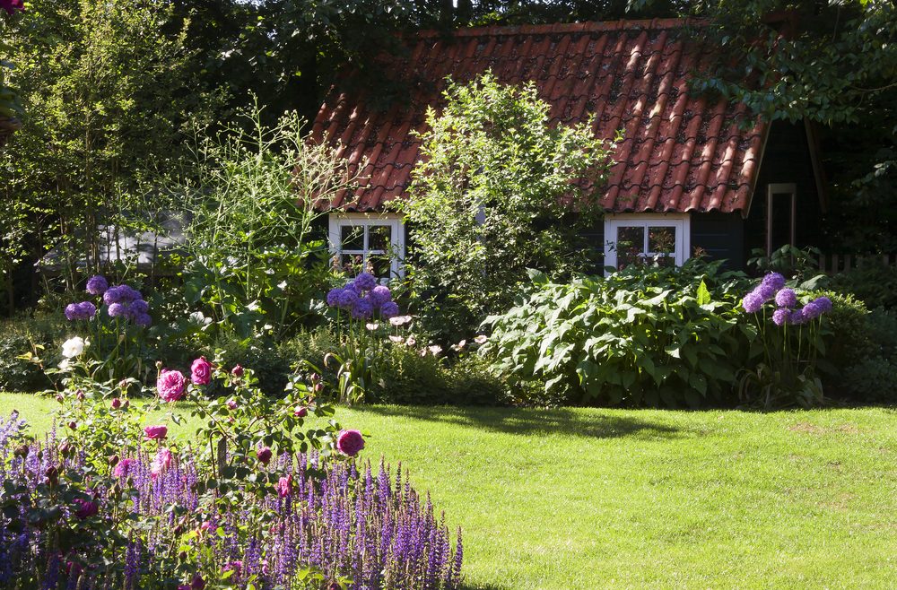 Begleitpflanzen - Rosen - Titel - Garten - Franks kleiner Garten