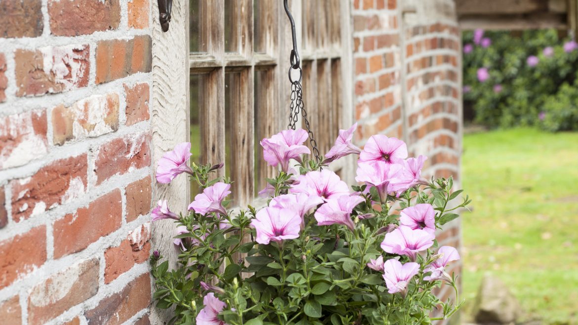 Blumenampel - Gent - Korb - Halterung - Gusseisen - Lifestyle - Franks kleiner Garten. jpg