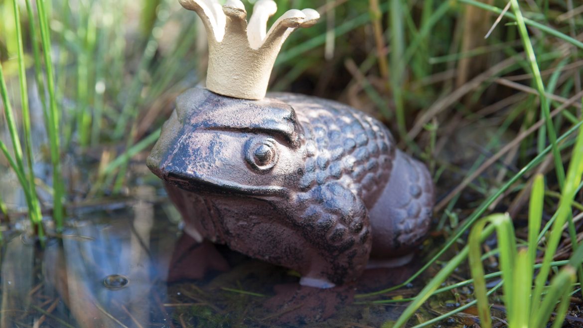 Froschkönig - Frosch - Dekoration - Gusseisen - lifestyle - Franks kleiner Garten