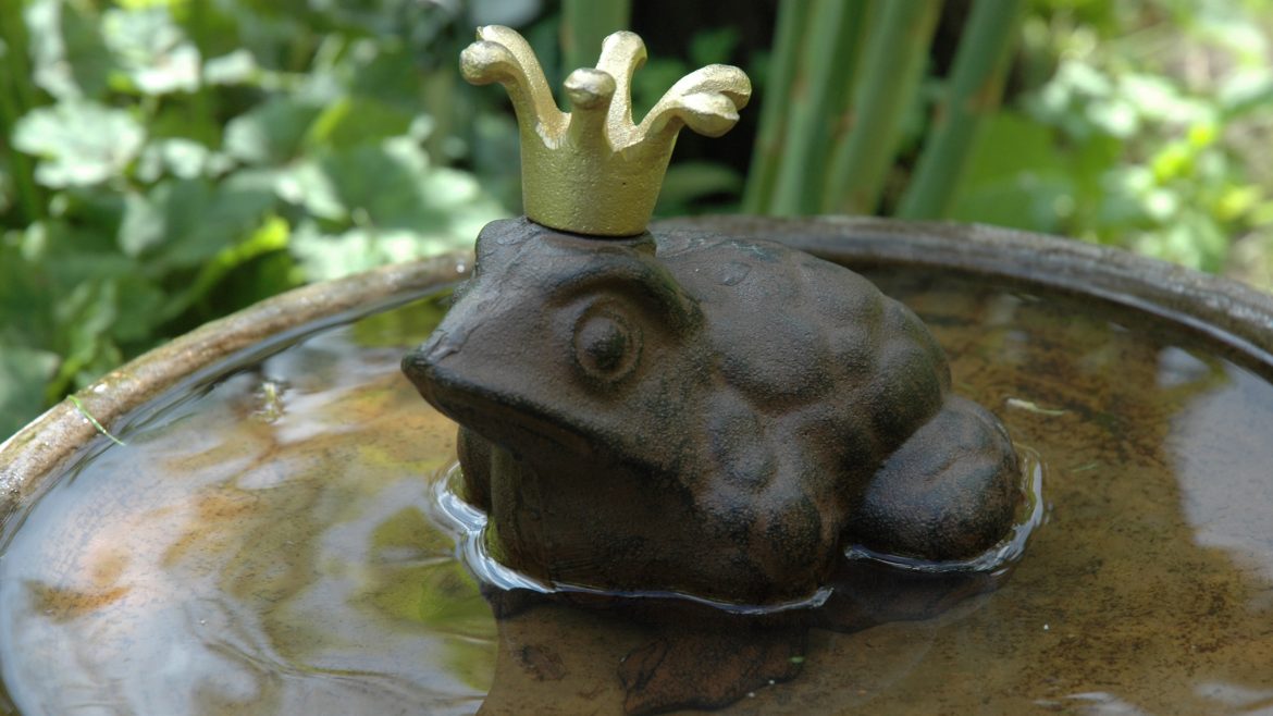 Froschkönig - Frosch - Dekoration - Gusseisen - llifestyle 02 - Franks kleiner Garten