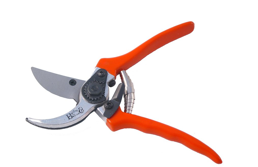 Gartenschere - Bypass Secateur - Burgon & Ball - Franks kleiner Garten