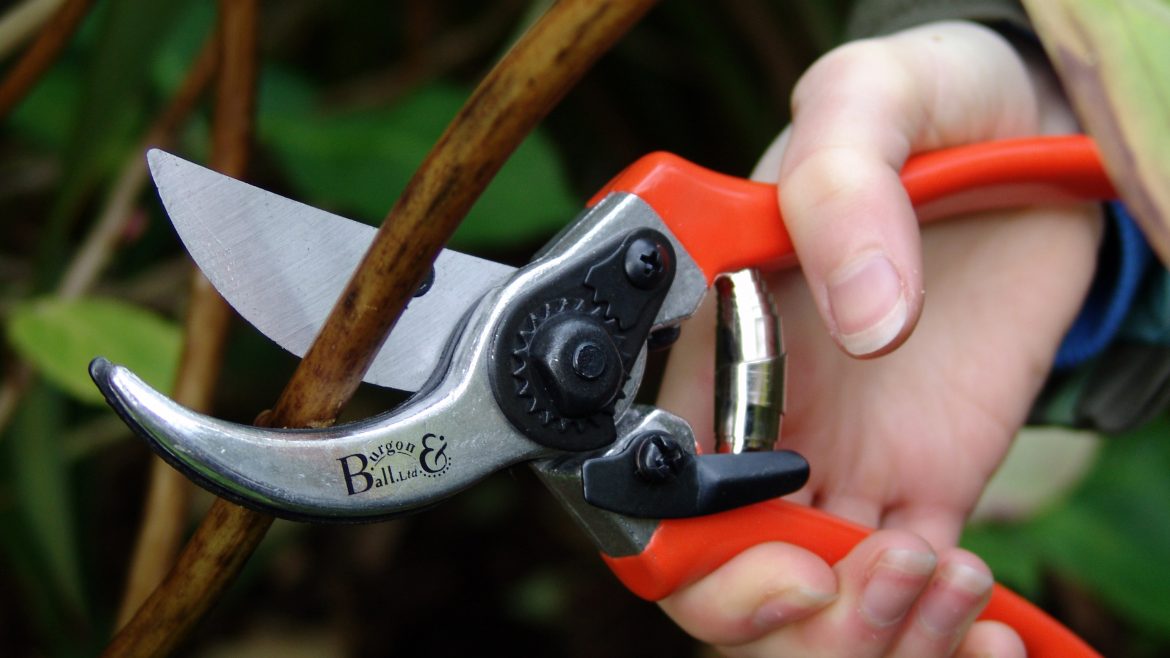 Gartenschere - Bypass Secateur - Burgon & Ball - lifestyle - Franks kleiner Garten