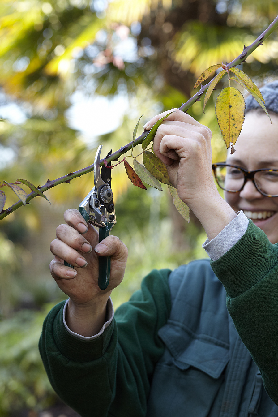 Gartenschere - Pocket Pruner - Burgon & Ball - lifestyle 2 - Franks kleiner Garten Gartenschere - Pocket Pruner - Burgon & Ball - lifestyle 2 - Franks kleiner Garten
