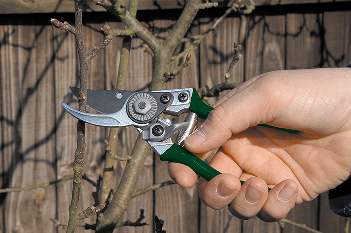 Gartenschere - Pocket Pruner - Burgon & Ball - lifestyle - Franks kleiner Garten Gartenschere - Pocket Pruner - Burgon & Ball - lifestyle - Franks kleiner Garten