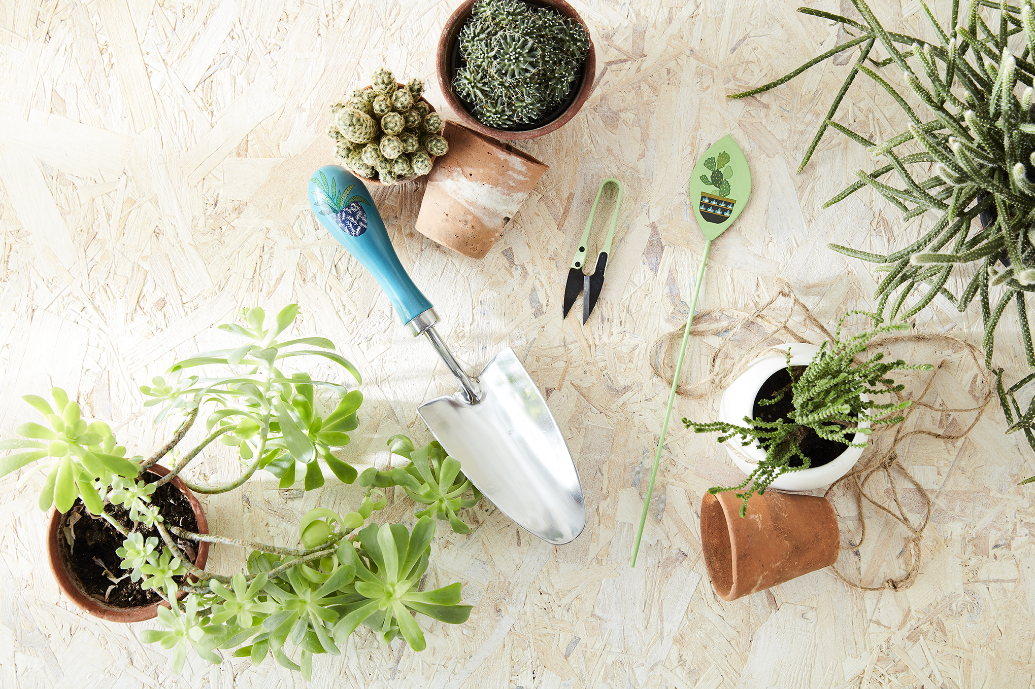 Geschenkbox - Geschenk-Set - Burgon & Ball - Brie Harrison Geschenk-Set mit Gartenschaufel, Schere und Pflanzenstecker - lifestyle - Franks kleiner Garten Geschenkbox - Geschenk-Set - Burgon & Ball - Brie Harrison Geschenk-Set mit Gartenschaufel, Schere und Pflanzenstecker - lifestyle - Franks kleiner Garten