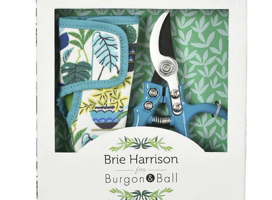 Geschenkset - Gartenschere mit Holster - Brie Harrison 2 - Box - Burgon & Ball - Franks kleiner Garten