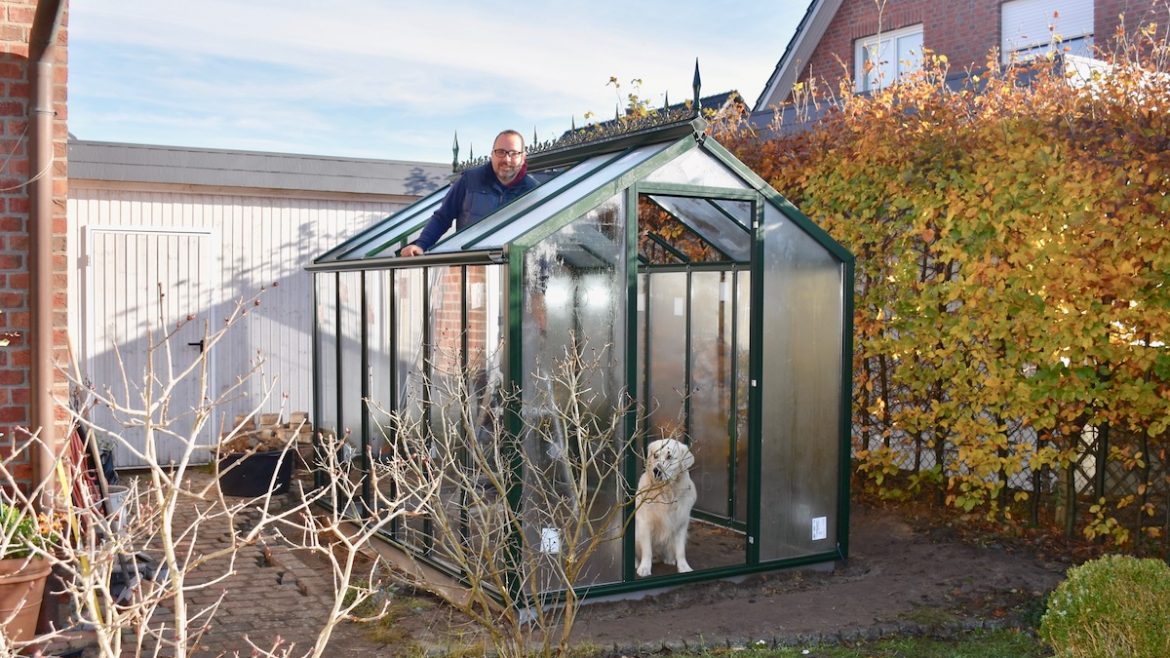 Gewächshaus - Hoklartherm - Bruno - Frank - Dachfenster - Franks kleiner Garten