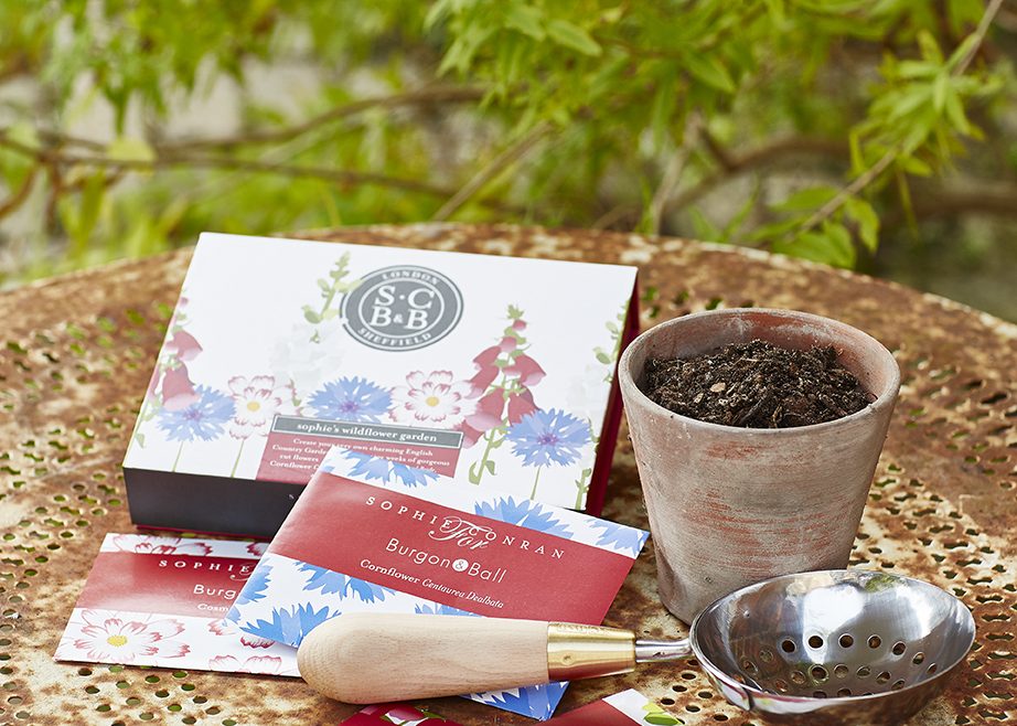 Saatgut - Saatgut-Set - Saatgut-Mix - Wildblumen - Sophie Conran - Burgon & Ball - Franks kleiner Garten