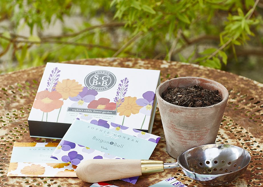 Saatgut - Samenmischung - Sophie Conran - essbare Blumen - Burgon and Ball - Franks kleiner Garten