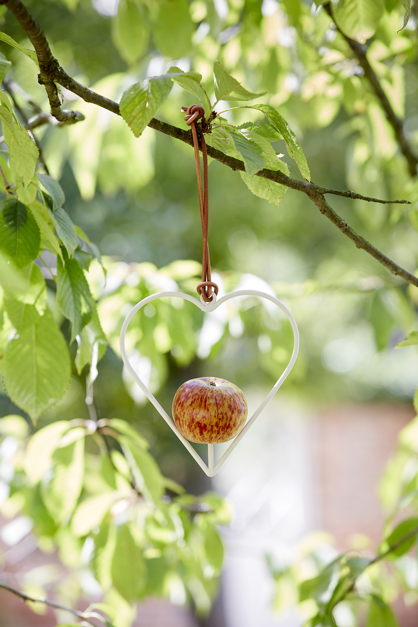 Sophie Conran - Das Apfelherz - Futterstelle - lifestyle - Burgon & Ball - Franks kleiner Garten.jpg Sophie Conran - Das Apfelherz - Futterstelle - lifestyle - Burgon & Ball - Franks kleiner Garten.jpg