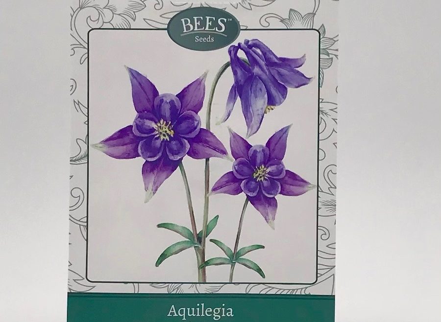 Akelei - Alpina - Saatgut - Samentütchen - Bees Seeds - Franks kleiner Garten