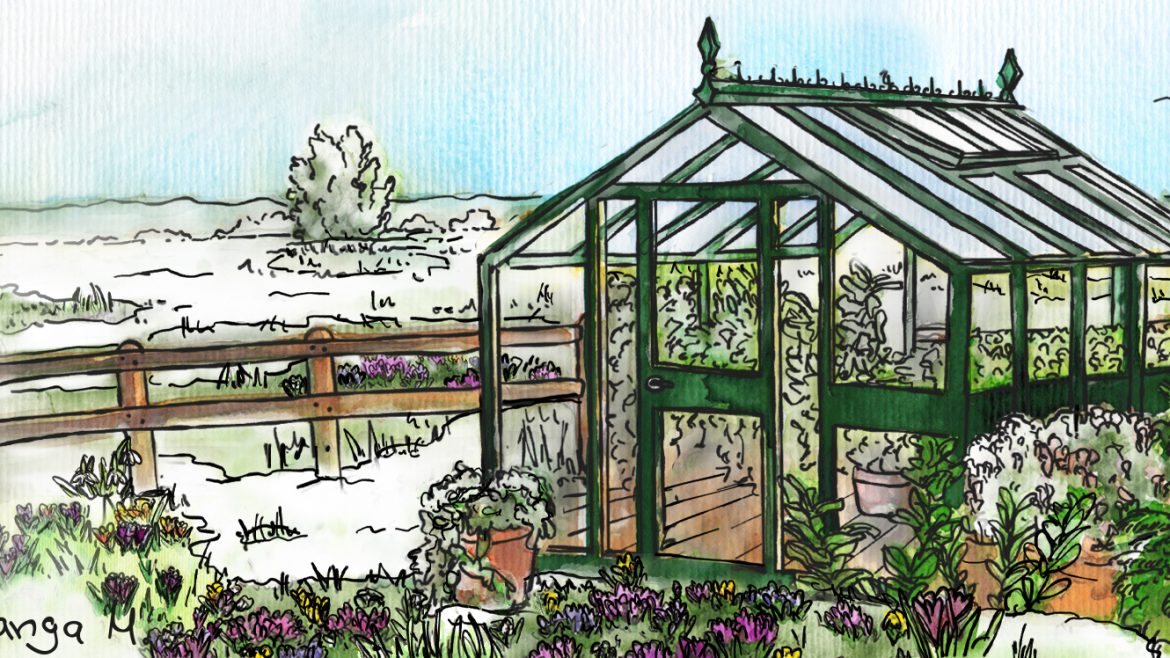 Gewächshaus - Februar - Hoklartherm - Franks kleiner Garten