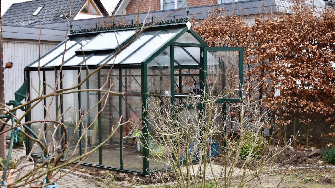 Gewächsshaus - Hoklartherm - Winter - Februar - Lüften - Franks kleiner Garten