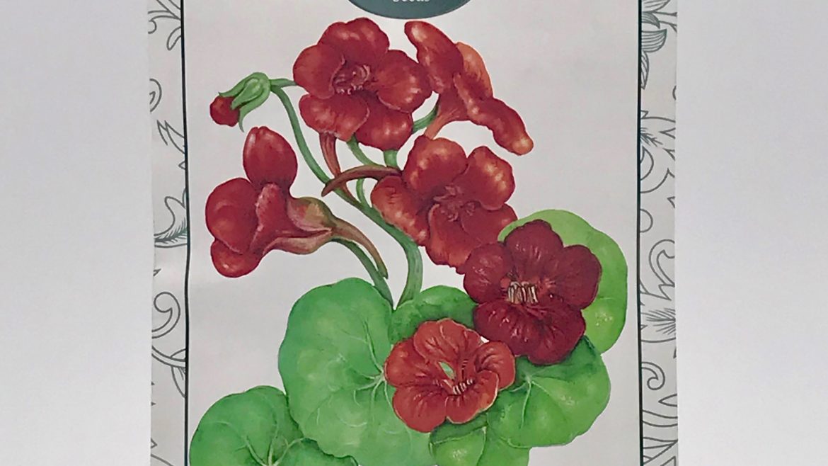 Kapuzinerkresse - Empress of India - Saatgut - Samen - Samentütchen - BEES Seeds - Franks kleiner Garten