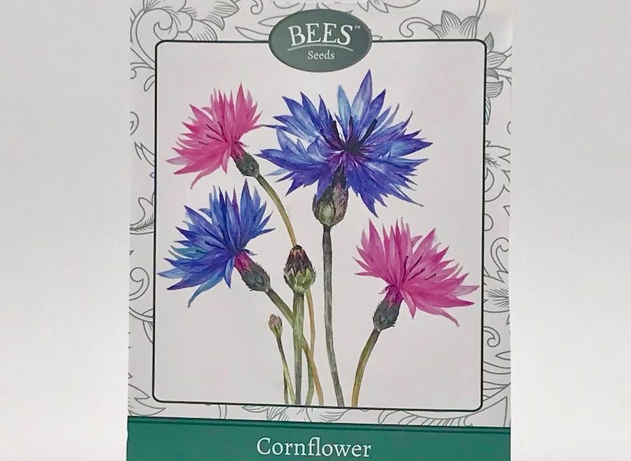 Kornblumen - Polka Dot Mischung - Saatgut - Samentütche - Samen - BEES Seeds - Franks kleiner Garten