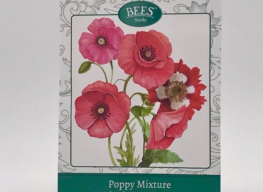 Mohnblume - Danish Flag - Samentütchen - Saatgut - BEES Seeds - Franks kleiner Garten
