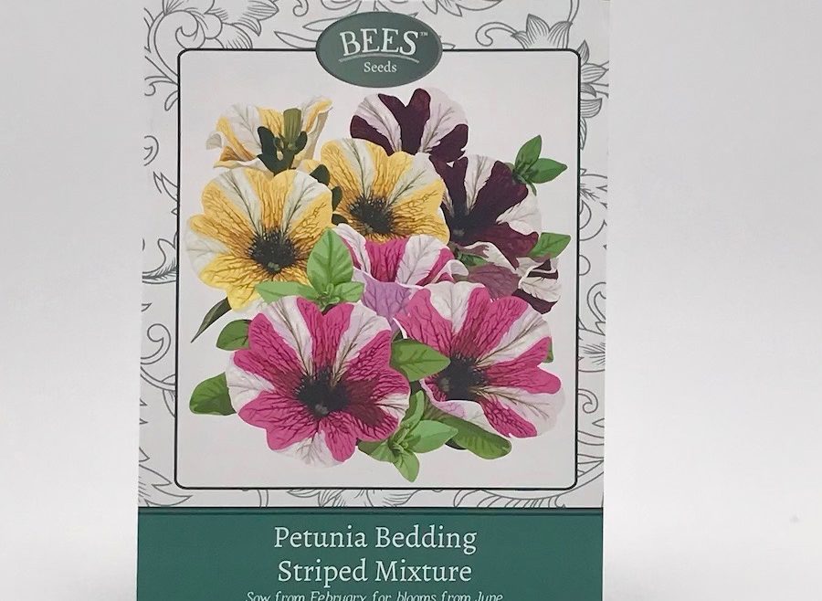 Petunien - Gestreifte Mischung - BEES Seeds - Samentütchen - Franks kleiner Garten