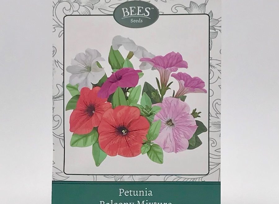 Petunien-Mischung für den Balkon - BEES Seeds - Blumensamen - Samentütchen - Franks kleiner Garten