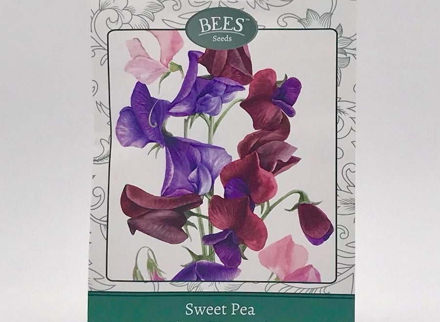 Saatgut - Edel Wicke - Giant Wave - BEES Seeds - Samentütchen - Franks kleiner Garten